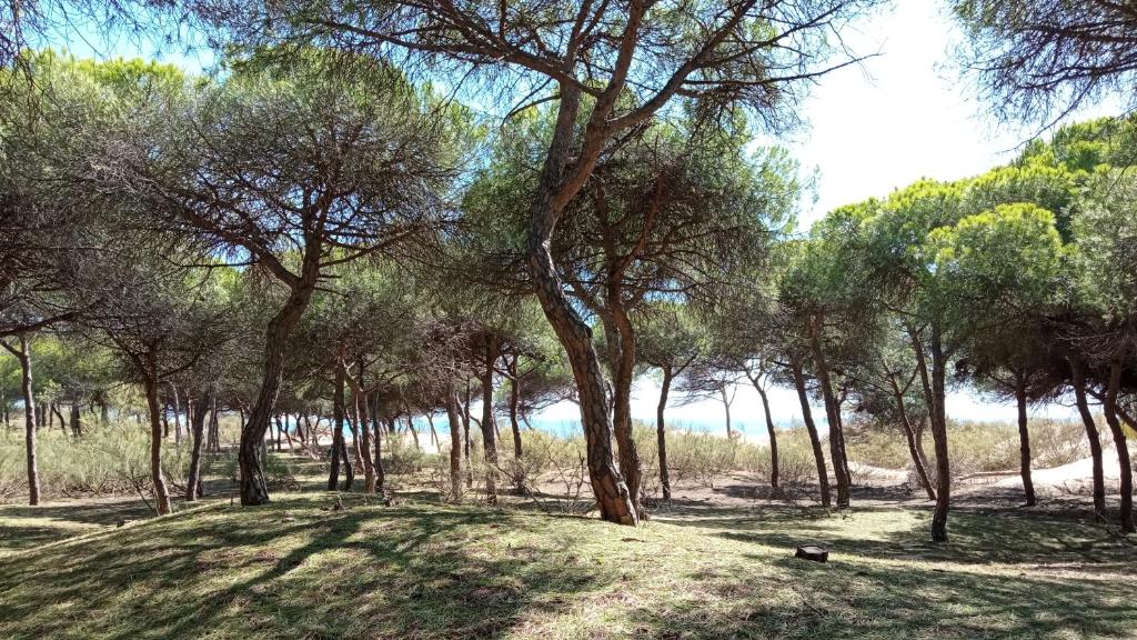 Fotografie z fotogalerie ubytování Apartamento en Islantilla Golf v destinaci Islantilla