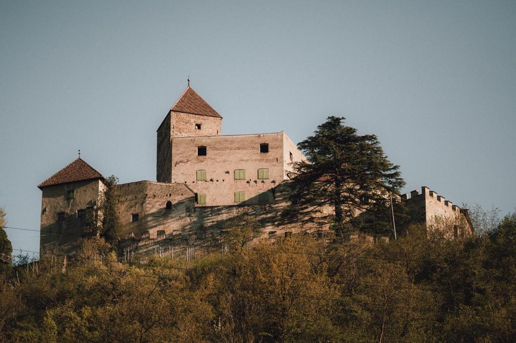 Fotografia z galérie ubytovania Pitzner - Winery & Suites v destinácii Cornedo all'Isarco