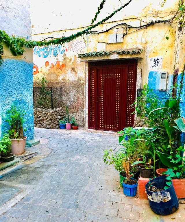 Zahrada ubytování la Kasbah salam