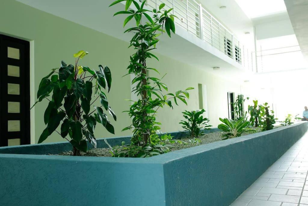 pokój z rzędem roślin na ścianie w obiekcie leroy place w mieście Kingston