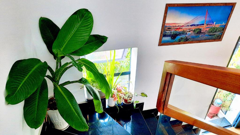 Fotografie z fotogalerie ubytování Sena home 3#1-Near Danang Dragon Bridge-Han River v destinaci Danang