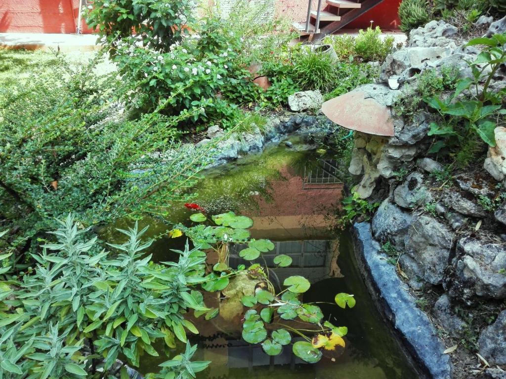 Full rental or by areas. Barbecue, Gardens, Large Terraces ...