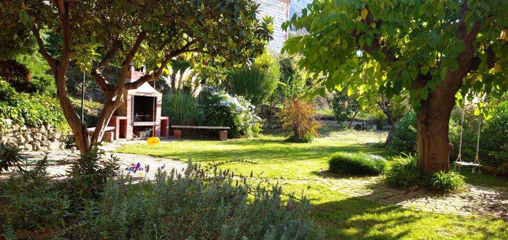 un jardín con un árbol y un banco en el césped en Full rental or by areas. Barbecue, Gardens, Large Terraces, Three rooms, en Beniatjar