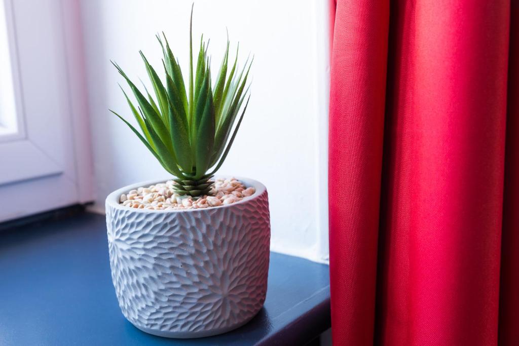 a plant in a white vase sitting on a window sill at Au nid douillet - Dormir Comme A La Maison in Châteaubriant