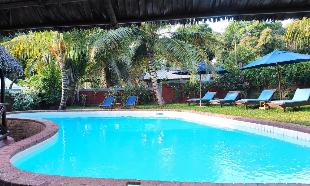 - une piscine avec des chaises bleues et des palmiers dans l&#39;établissement Clair de Lune, à Ambatoloaka