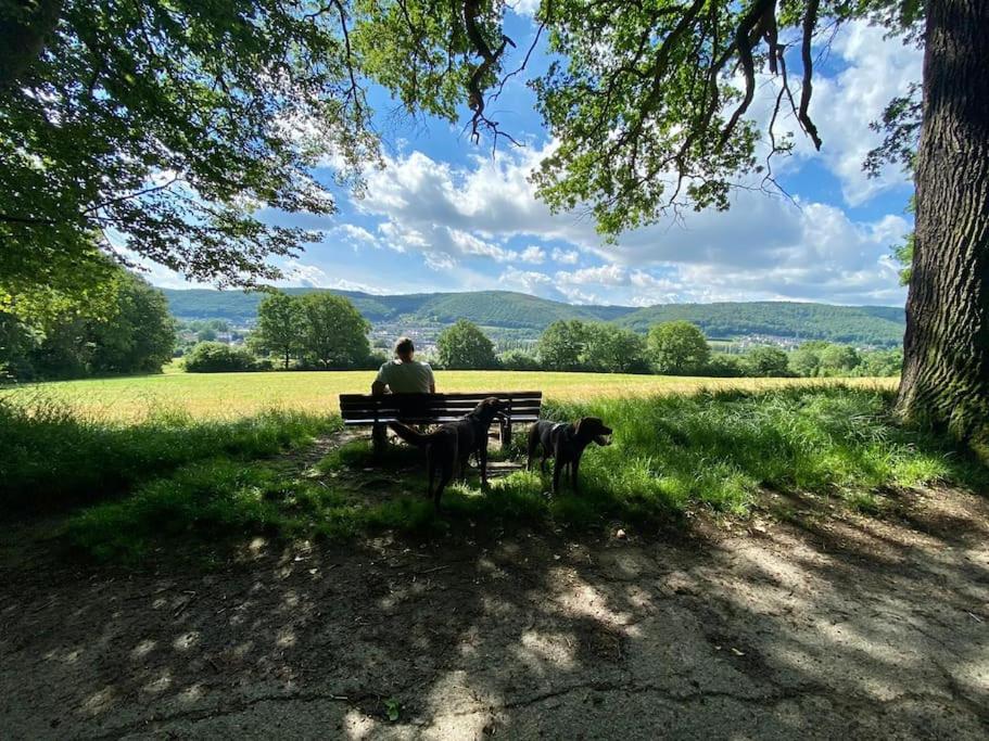 a man sitting on a park bench with two dogs at Get-your-flat - Wohnen im Eulenturm tiny owl-house - naturnah & einzigartig - 60 m2 - Haustier auf Anfrage OG1 in Hagen