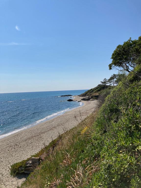 einen Sandstrand am Meer an einem klaren Tag in der Unterkunft Maison pieds dans l eau avec piscine et clim in Linguizzetta