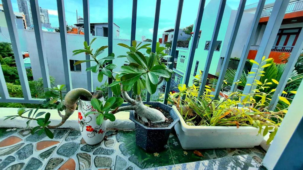 Zahrada ubytování Sena home 3*3*Near Danang Dragon bridge*Han river
