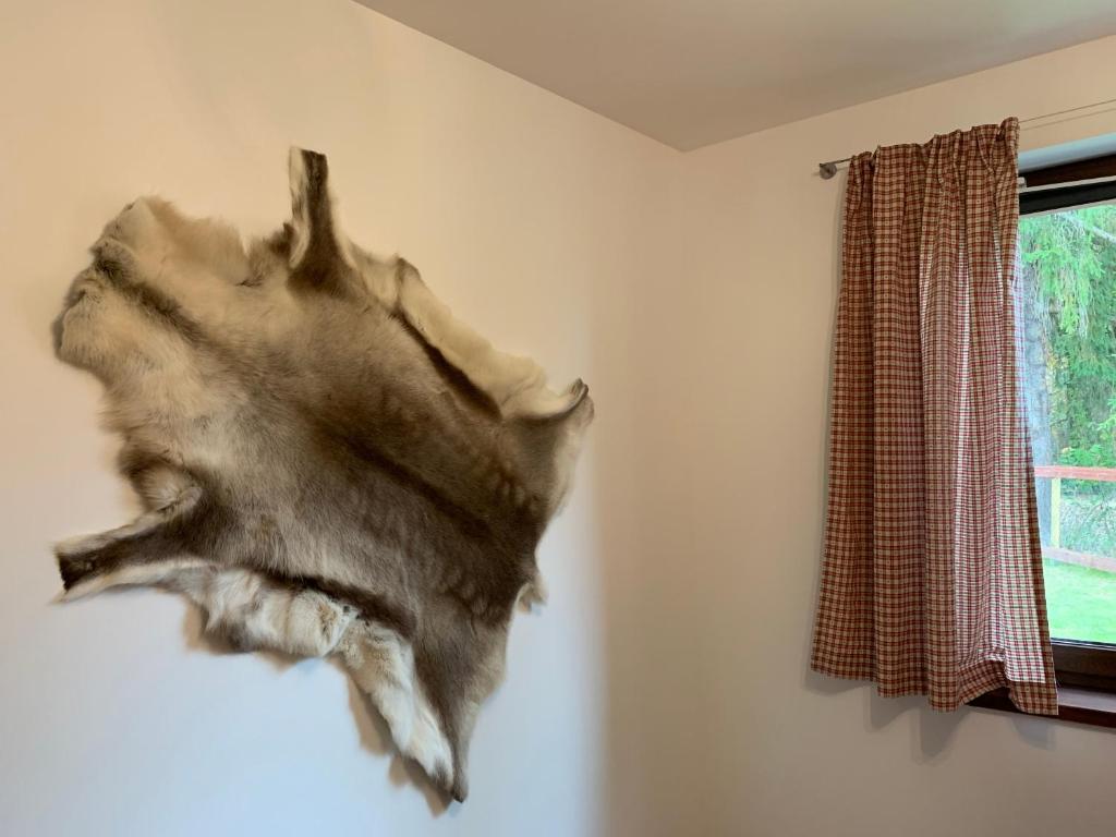 Fotografie z fotogalerie ubytování Pension & Apartments Waldkrieber v destinaci Presseggersee