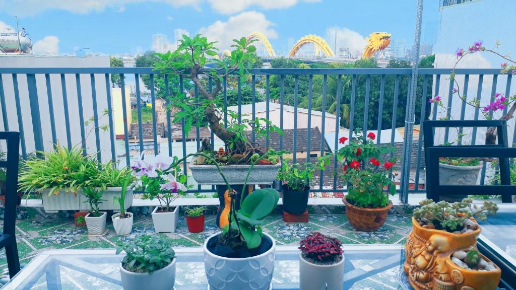Vườn quanh Sena home 4th-Rooftop Overlooking Danang Dragon bridge