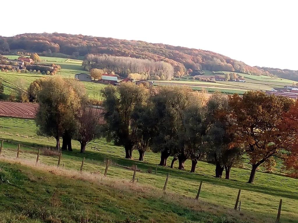 Příroda nedaleko bed and breakfast
