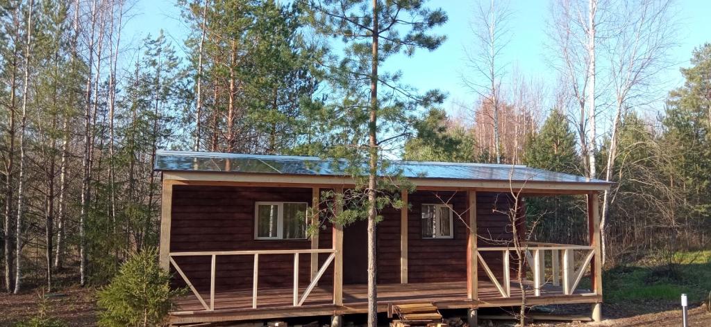 Гостевой дом На опушке леса - отзывы и видео