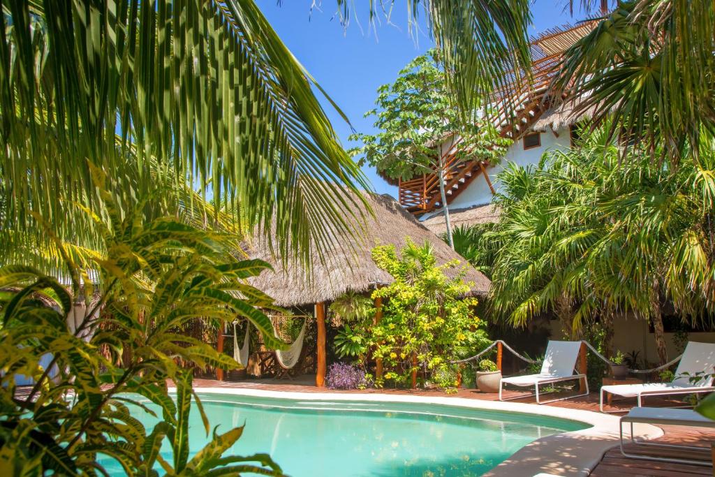 a resort with a swimming pool and palm trees at Holbox Deluxe Apartments in Holbox Island