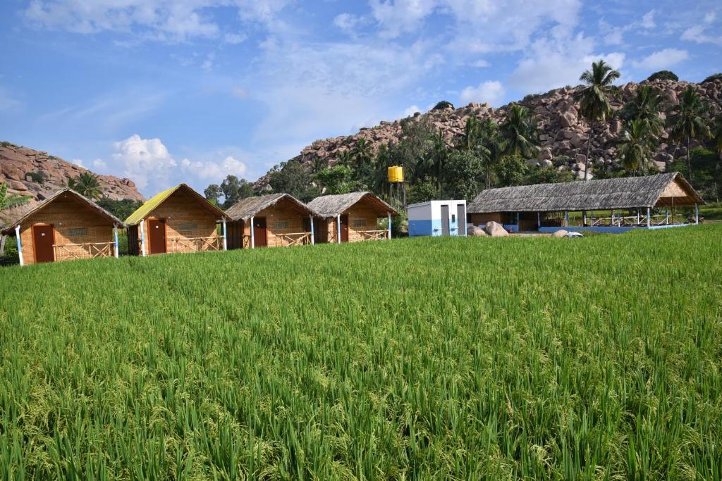 Dream Mango Hampi, Hampi (updated prices 2024)