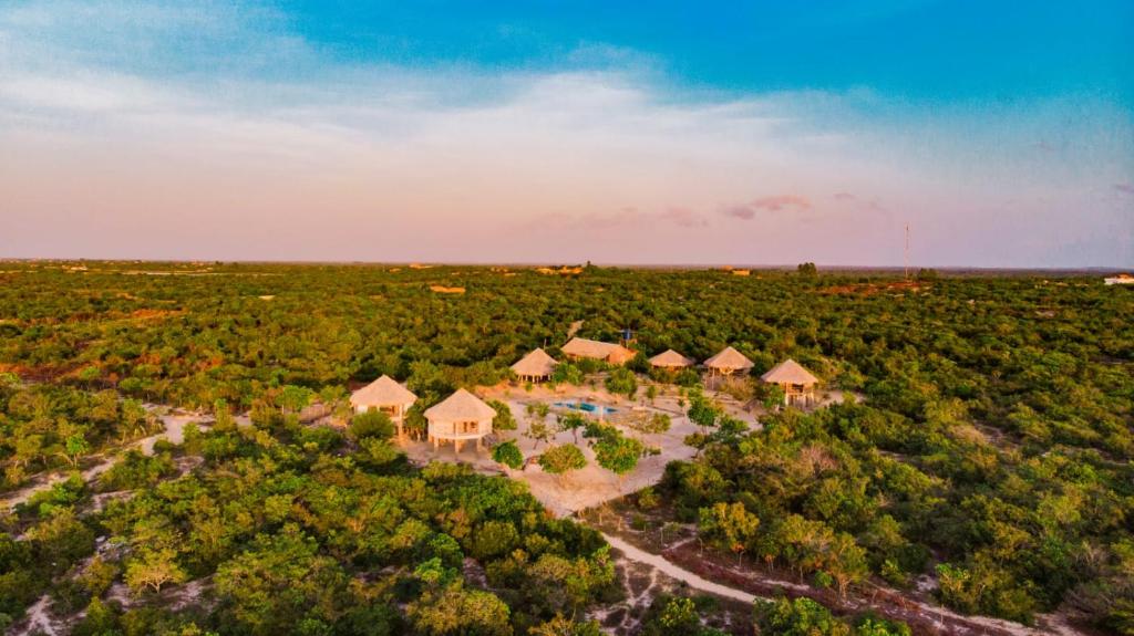 an aerial view of a resort in the middle of a forest at Palma Adventure Hostel in Barreirinhas