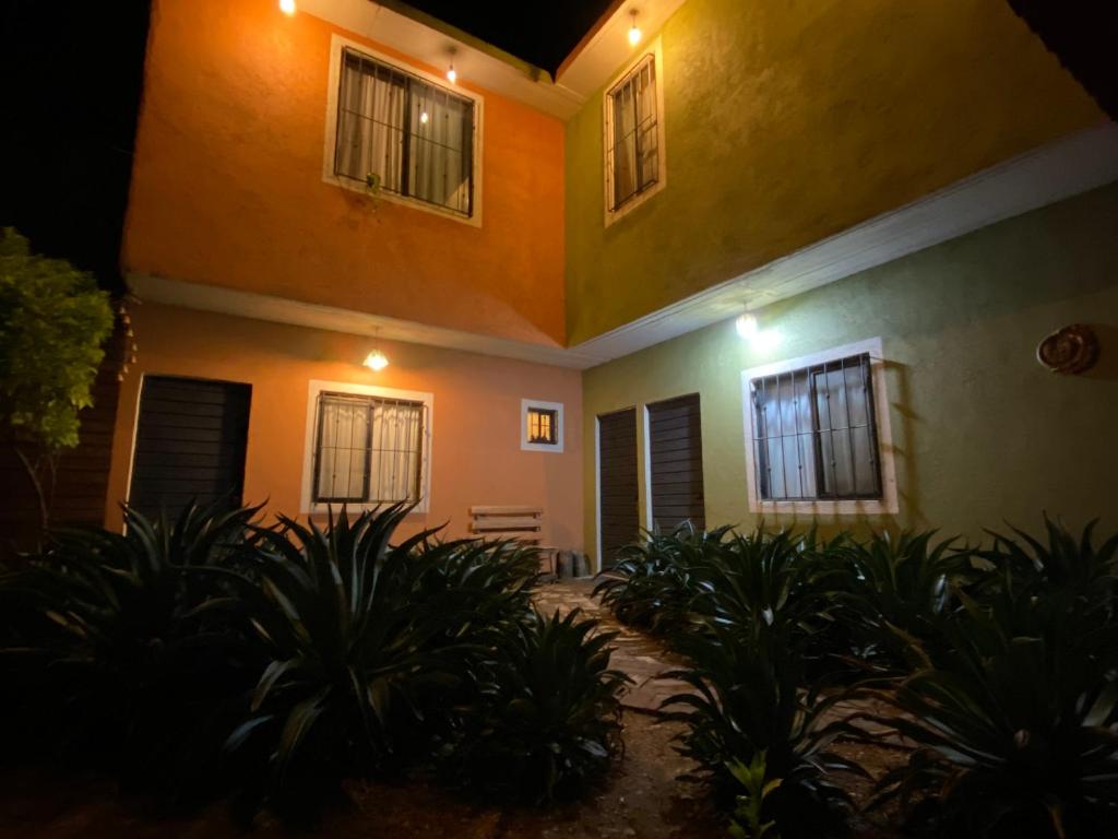 a house with plants in front of it at night at Tu casa Oaxaca... in Oaxaca City