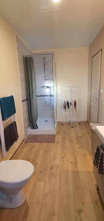 a bathroom with a shower and a toilet in a room at Cramiland - Super appart 5 pers centre ville in Montbéliard