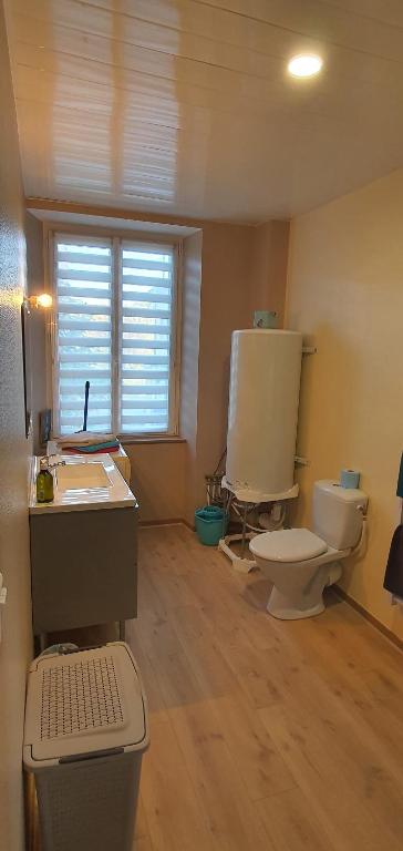 a bathroom with a sink and a toilet and a window at Cramiland - Super appart 5 pers centre ville in Montbéliard