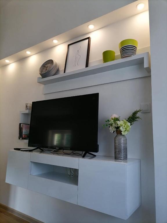 TV a/nebo společenská místnost v ubytování Drobnjak apartments