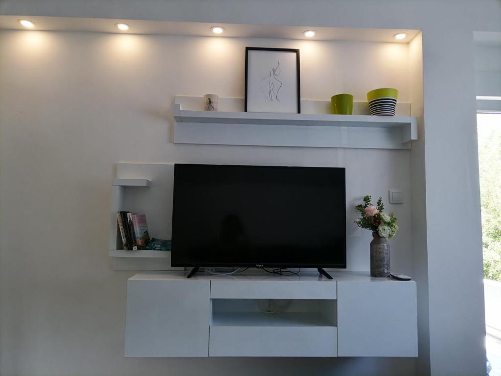 TV a/nebo společenská místnost v ubytování Drobnjak apartments