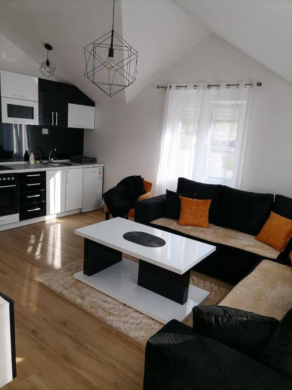 Kuchyň nebo kuchyňský kout v ubytování Drobnjak apartments