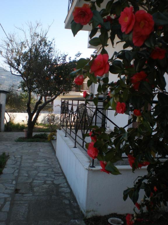 Ogród w obiekcie Karagiozos Studios & Apartments