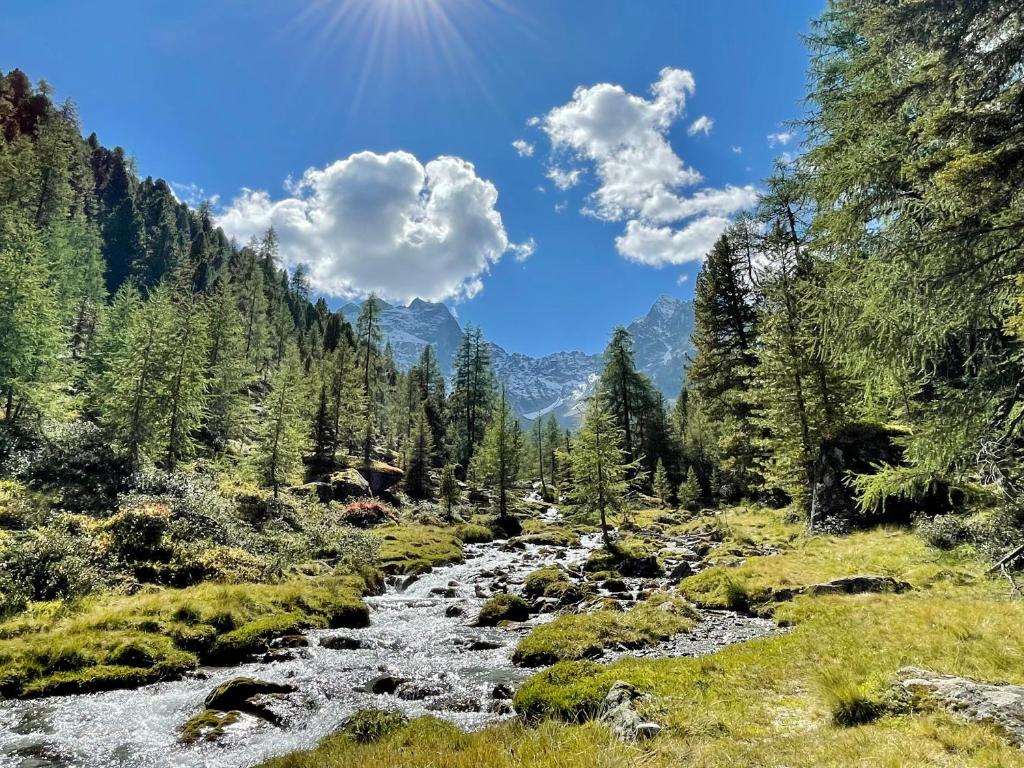 Príroda v okolí apartmánu