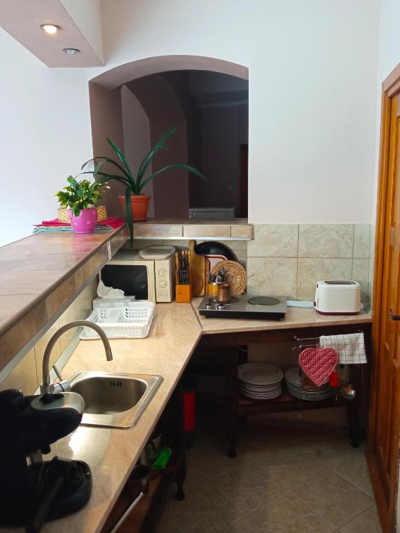 Kuchyň nebo kuchyňský kout v ubytování Villa Atriolum