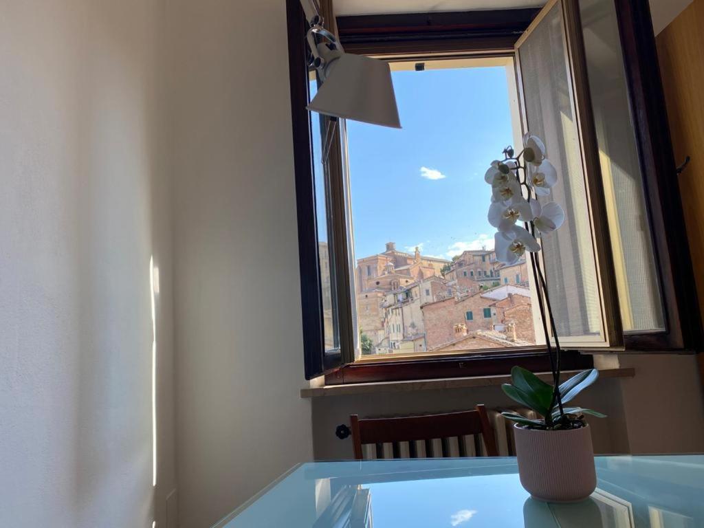 a room with a window and a plant on a table at La casa del Duprè in Siena
