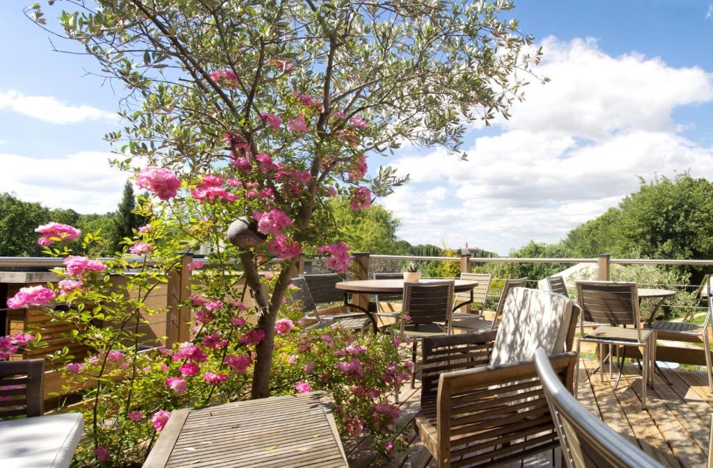Jardin de l'établissement Natura Lodge