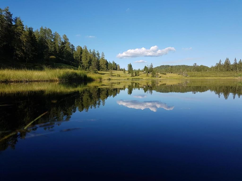 Príroda v okolí apartmánu