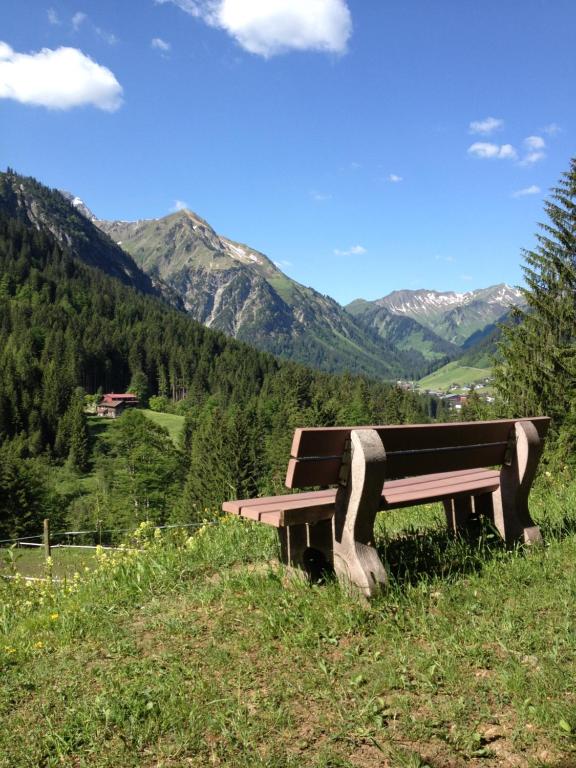 Příroda nedaleko apartmánu