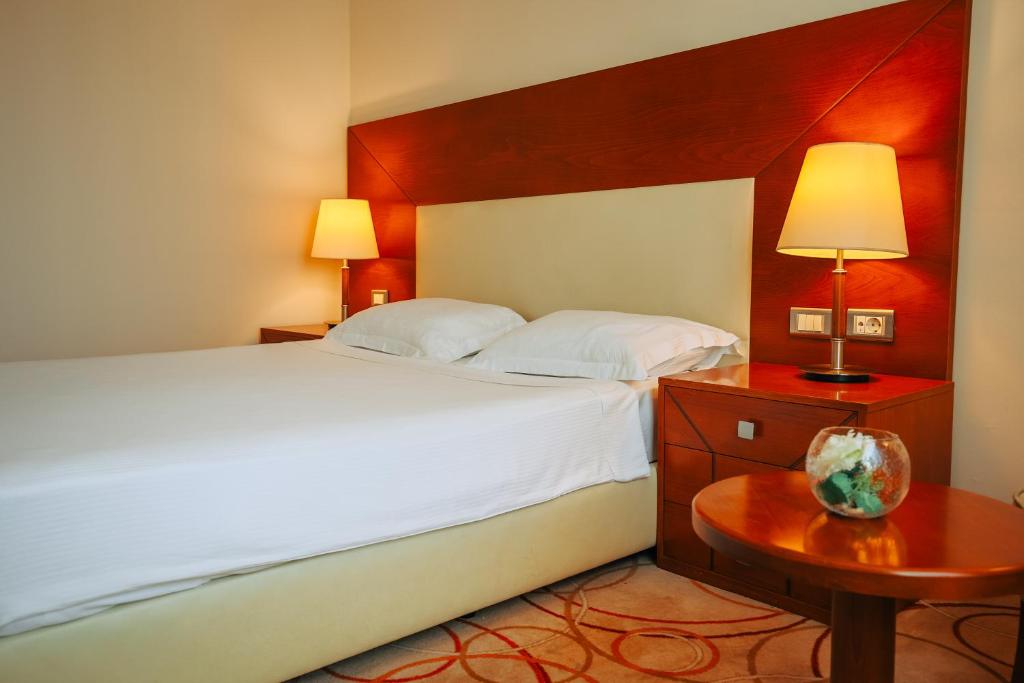 Grand Hotel Tuzla - غرفة مزدوجة