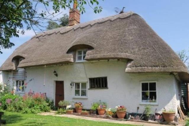 Gallery image of Entire Thatched Cottage in Melbourn