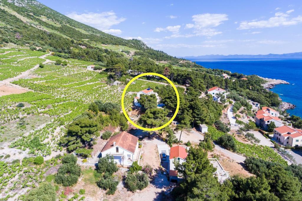 an aerial view of a house on a hill next to the ocean at Apartments Villa Dingač in Gornji Dingač