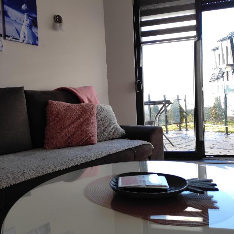 Prostor za sedenje u objektu Apartman Riboškić Divčibare 2