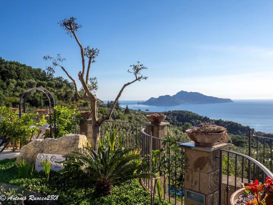 a garden with a fence and a view of the ocean at Villa Capri Wonderful View in Massa Lubrense