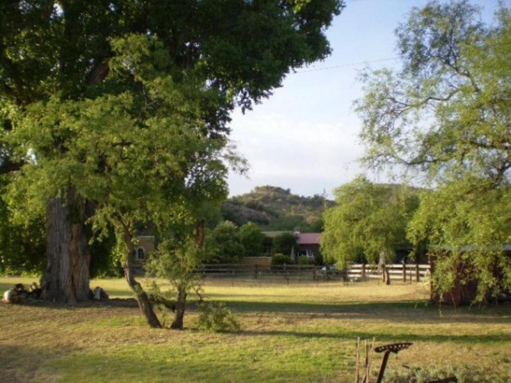 a park with a tree in the middle of a field at Spirit Tree Inn B&B in Patagonia