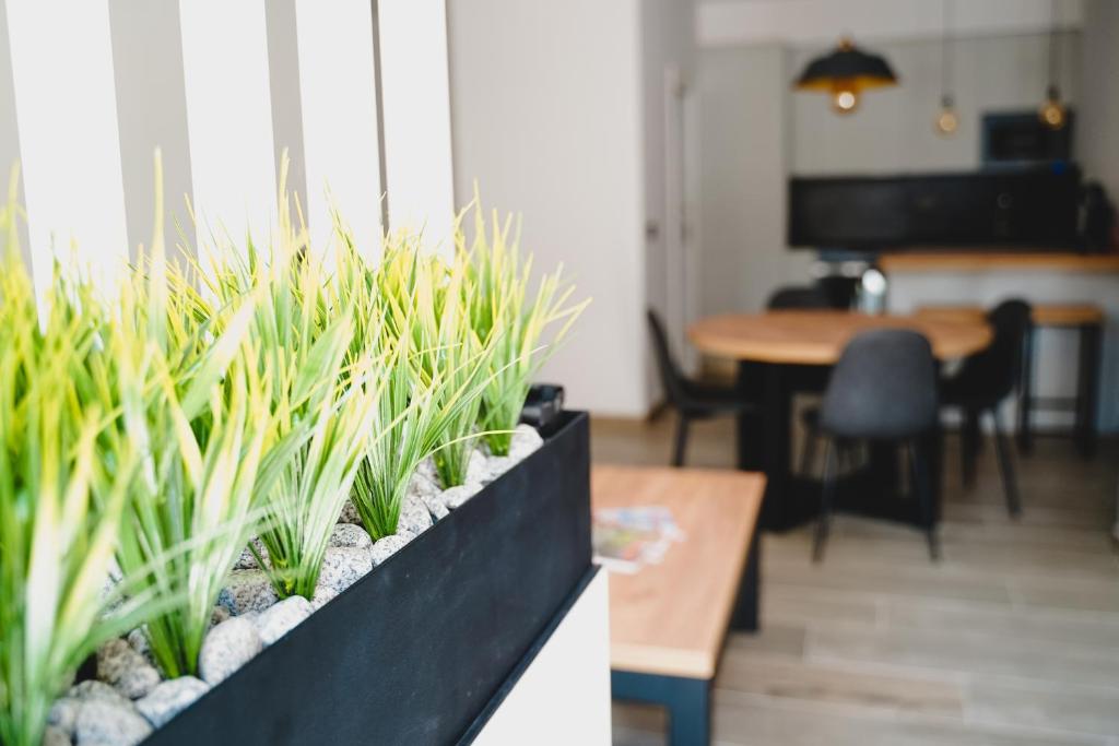 a black planter with plants in a living room at Apartamentos Turia Teruel in Teruel