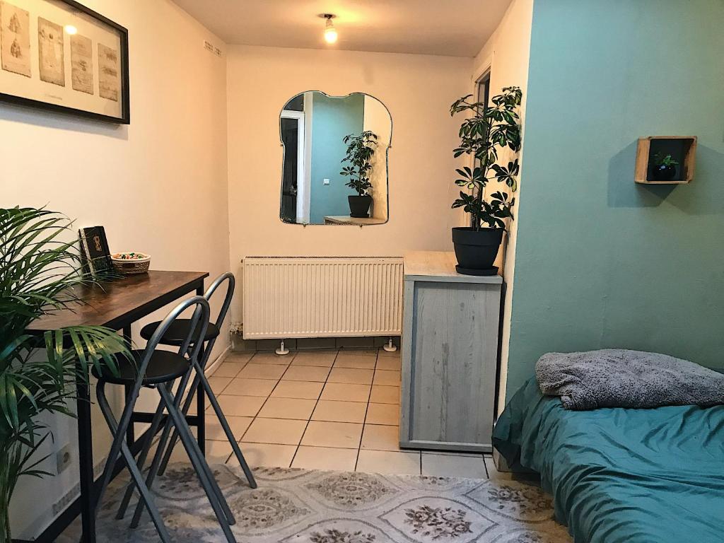 Zimmer mit einem Bett, einem Schreibtisch und einem Spiegel in der Unterkunft Chambre privative au cœur de Liège maison d hôte chez l habitant in Lüttich