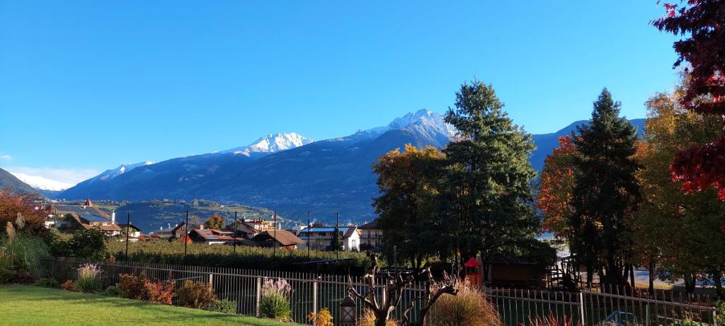 Príroda v okolí apartmánu
