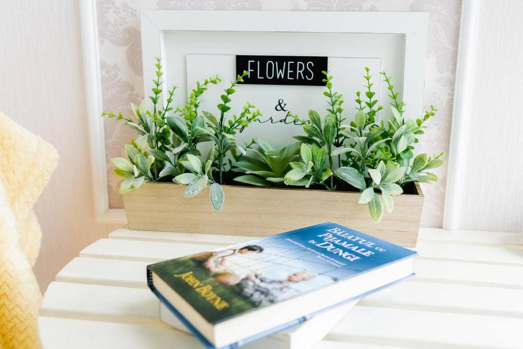 Chic Studio - Resim 25