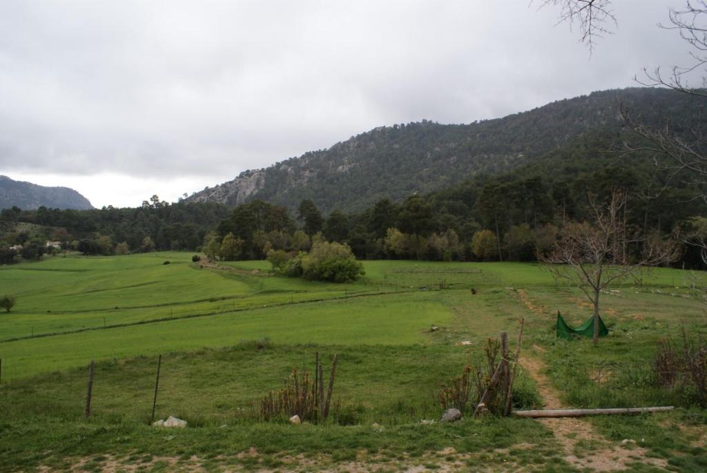 CASA RURAL DULCE NOMBRE, Nava de San Pedro – Updated 2022 Prices
