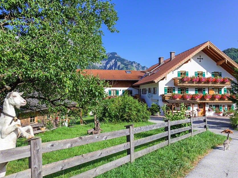 un perro blanco sentado en una valla delante de una casa en Gästehaus Pfeffererlehen, en Marktschellenberg