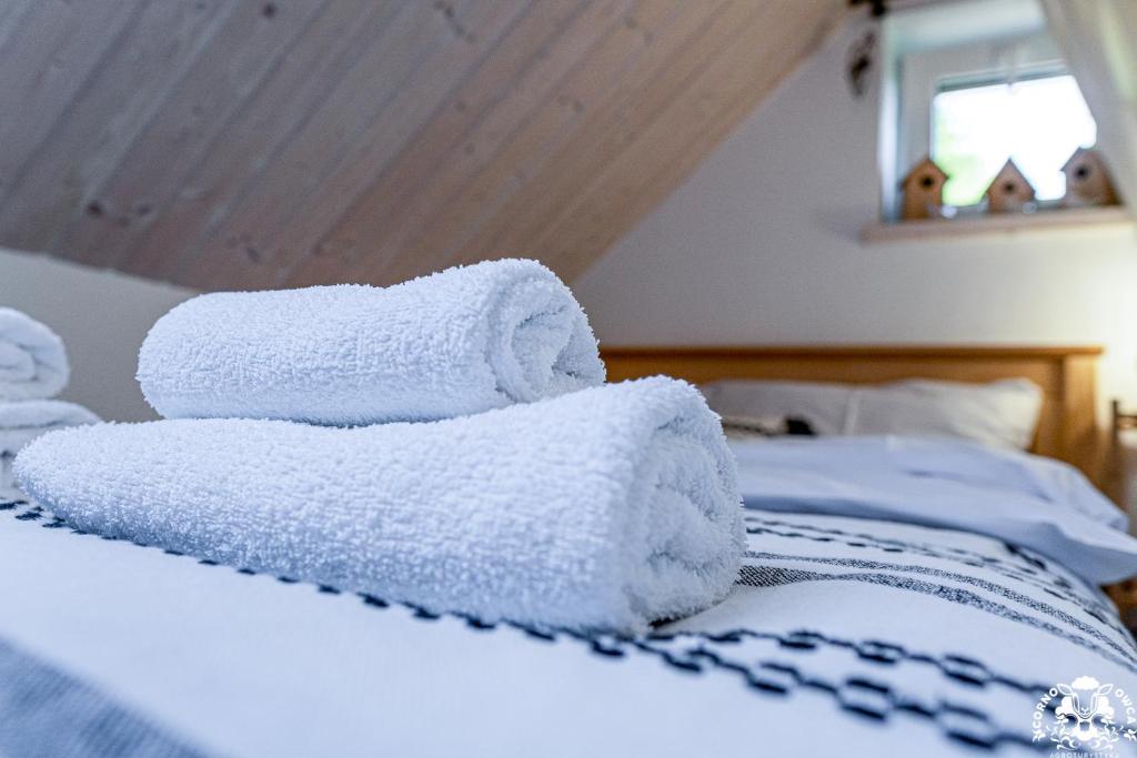 Agroturystyka Corno Owca - 15