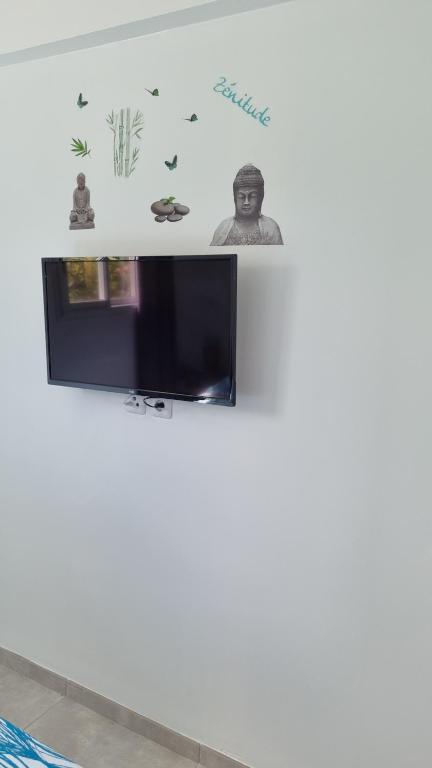 TV a/nebo společenská místnost v ubytování Les hauts du fromager