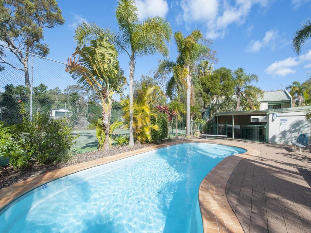 a swimming pool in the backyard of a house with palm trees at Carindale Unit 21 19 Dowling Street in Nelson Bay
