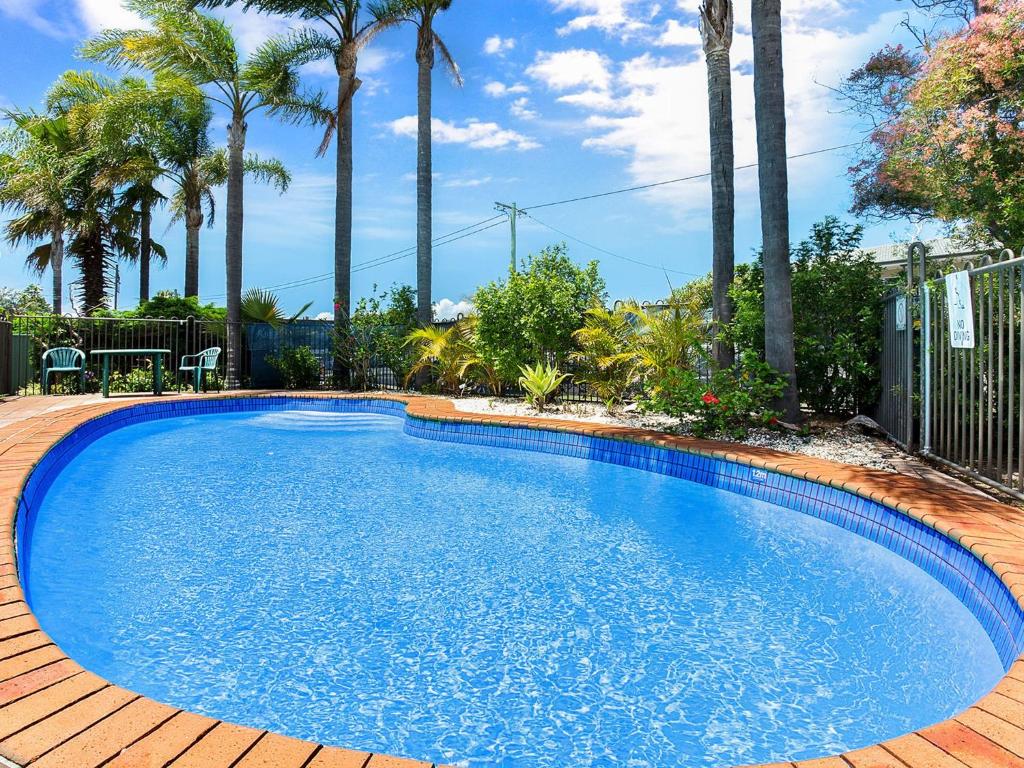 une grande piscine bleue dans une cour avec des palmiers dans l'établissement Macadamia Court 2 8 Government Road, à Nelson Bay