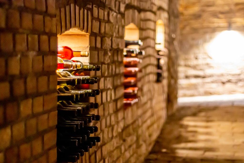 Fotografie z fotogalerie ubytování Takács Pince apartman v destinaci Hajós