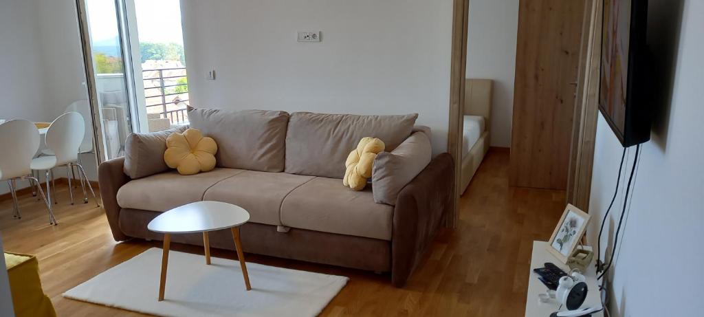 Posezení v ubytování Apartman Ramonda Vrnjacka banja